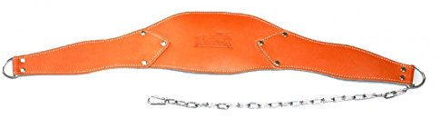 Schiek Sports Dip Gürtel Model 5008 braun