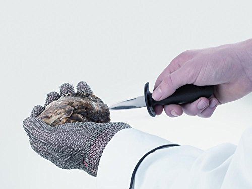 APS – Cuchillo para ostras Aprox. 15 cm, Acero Inoxidable, Nylon/Fibra de Vidrio con protección para los Dedos, ergonómico Antideslizante Mango