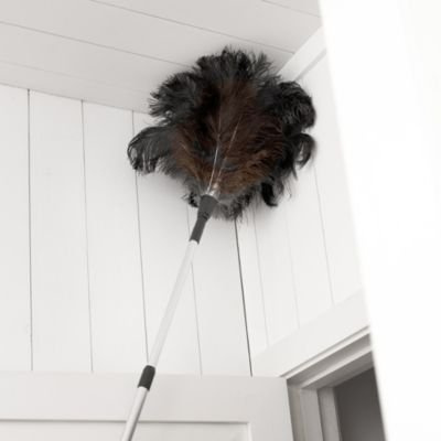 Teleskop-Staubwedel mit Straußenfedern, Teleskopstiel ausziehbar 73 bis 186 cm