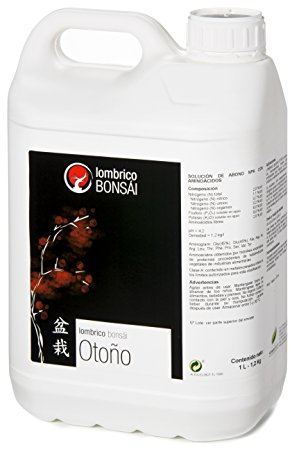 Lombrico Bonsái Otoño 5L