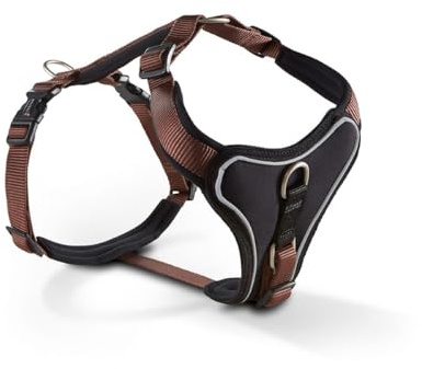 Wolters | Geschirr Professional Comfort in Tabac/Schwarz | Brustumfang 50 - 60 cm