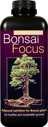 Bonsai Focus Unique Liquid Concentrated Fertiliser 1 Litre