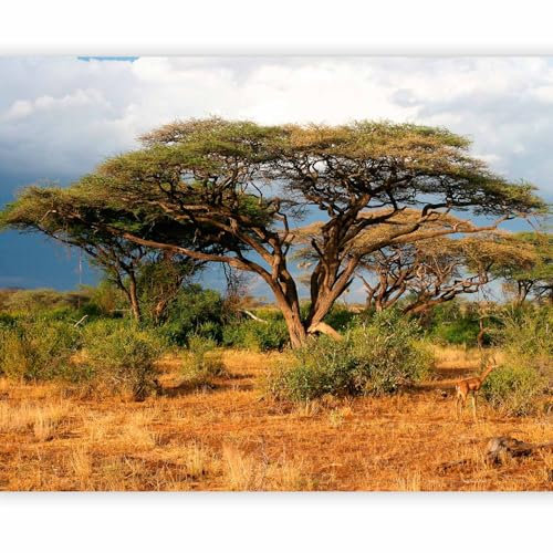 murando - Papier peint panoramique moderne 300x231 cm - Revêtement mural décoration pour chambre salon - Design moderne - Jaune vert gris marron - Afrique arbres paysage savane 100403-206