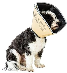 All Four Paws „The Comfy Cone“ Halskrause für Haustiere,Medium/X-Long