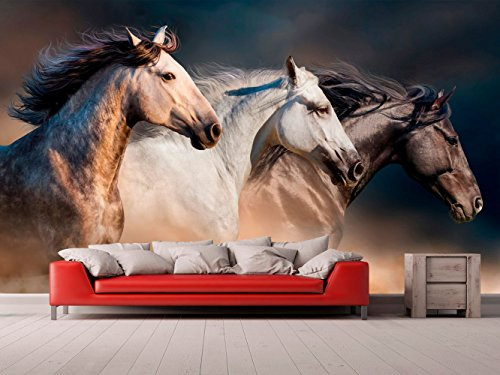 Oedim Fotomural Vinilo para Pared Caballos | Fotomural para Paredes | Mural | Vinilo Decorativo | Varias Medidas 350 x 250 cm | Decoración comedores, Salones, Habitaciones...