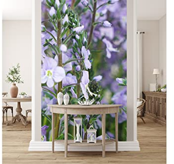 Glücksvilla - Tapisserie Photographique autocollante - Papier Peint intissé. Diff. tailles - DE - Photo. Motif: fleurs de Gentiane violettes - 120 x 250 cm - prairie nature plante