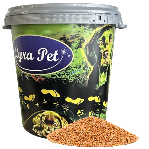 Lyra Pet® 10 kg Hirse rot lose in 30 L Tonne Wildvogelfutter Ziervögel | Ideal für Futtermischungen - Ganzjähriges Wildvogelfutter - Mineralstoffreicher Energielieferant - Sittiche & Kanarien