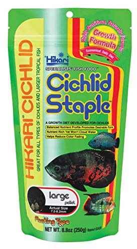 Hikari 250 ml Ciklid häftklammer flytande pellets för husdjur, stor