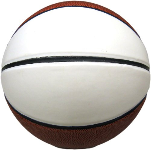 Baden Offizieller 2-Panel-Autogramm-Basketball, 74 cm