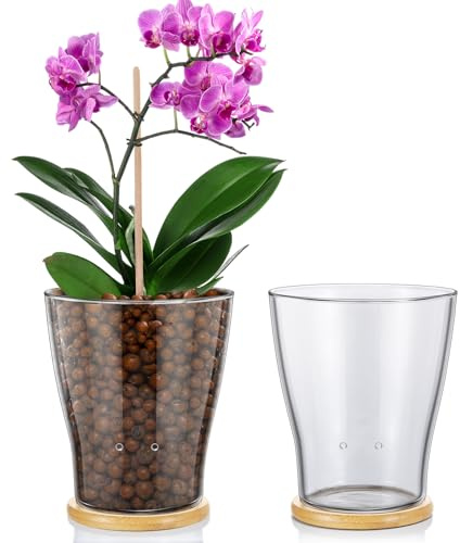 Baderke Glass Orchid Pots with Holes and Bamboo Tray Glass Pot Water Level Control Semi Hydroponic Transparent Root Transparent Indoor Orchid Planter for Home Indoor Outdoor Plant Lovers (6 Inch)