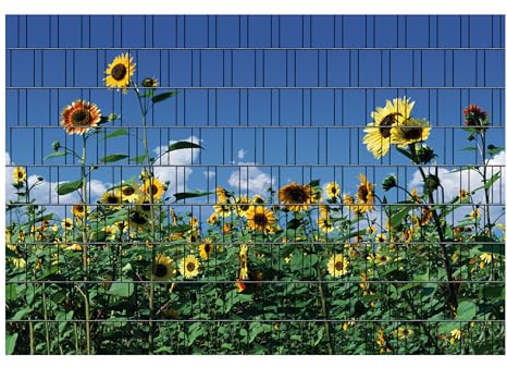 PerfectHD Zaunsichtschutz - Motiv Sonnenblumen - Sichtschutz für den Garten - 2,50 x 1,80 x 0,19 m - 9 Streifen - 30 Varianten