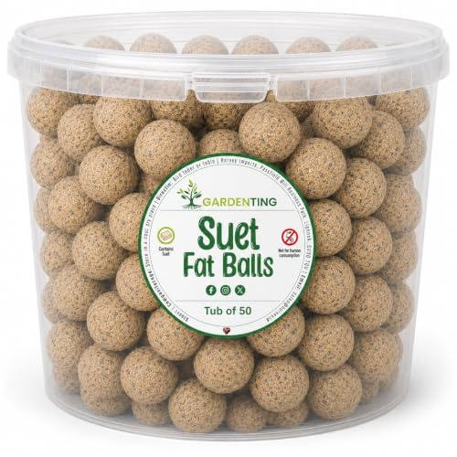 Premium Suet Fat Balls Wild Bird, Tub of 50