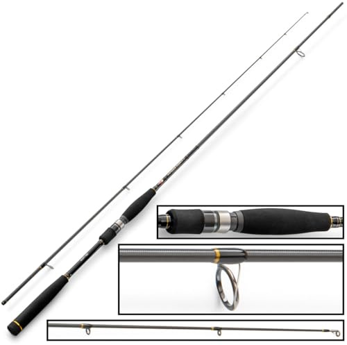 Hearty Rise 832 MH Zander Force II 2,51m 7-32g - Spinnrute zum Jiggen auf Zander, Gummifischrute zum Zanderfischen, Raubfischrute zum Spinnangeln