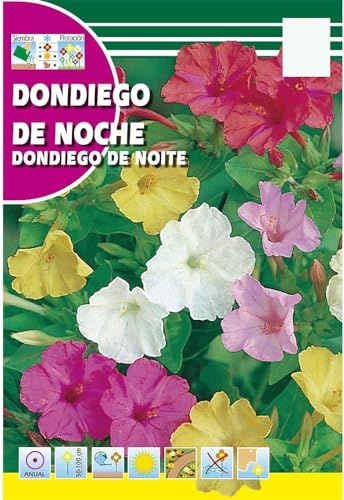 Semillas de Don Diego de Noche PREMIUM Semillas Flores de Colores Mix