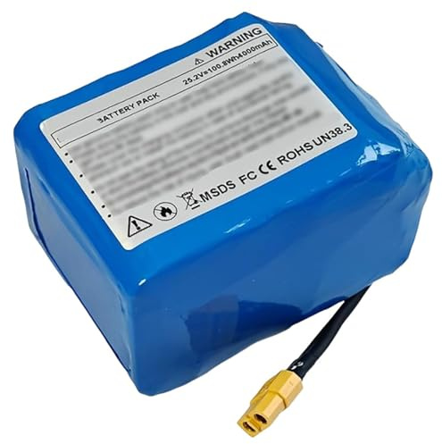 24V 4Ah Elektrofahrrad Batterie 29.4V 4000Mah 7S2P E-Bike Akku Wiederaufladbarer Hoverboard-Akku Mit BMS Für 100W 200W 300W Motor 24V 4Ah,XT60
