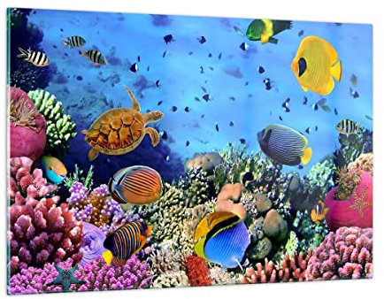 Quadri Moderni Soggiorno Barriera corallina Quadro su Vetro 120x80cm Stampe da Parete in Vetro Camera da Letto Cucina 1 pezzo Wall Art Grandi XXL Decorazione Murale Grafica Immagini GAA120x80-3569