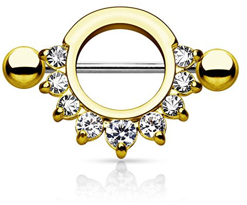 Taffstyle Piercing Schmuck Brustwarzenpiercing Brustwarze Intimpiercing Brust Nippel Intim Ohr Ohrpiercing Barbell gerade Hantel Schild Stab mit Glitzer Kristall Spikes Ornament Gold