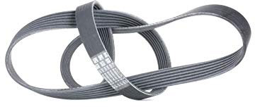 CONTITECH 6PK1310 Correa trapecial poli V Correa Poly V Correa poli V Correa de accesorios