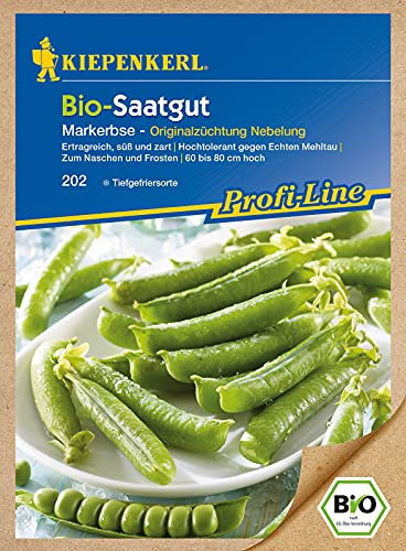 Erbsensamen - Markerbse Vitara von Kiepenkerl