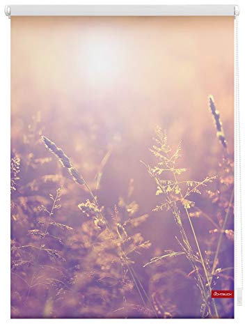 Lichtblick Klemmfix Tageslicht-Rollo mit Motiv, ohne Bohren, Blickdicht, Seitenzugrollo, Made in Germany, Sommerabend - Orange 120 x 150 cm (B x L)