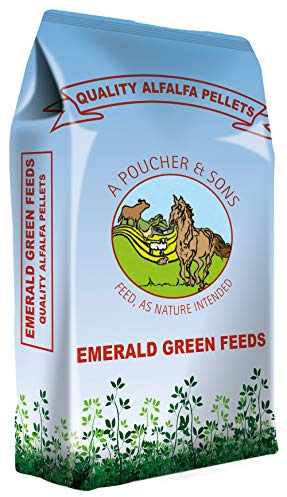 Noci di erba medica verde smeraldo, 20 kg