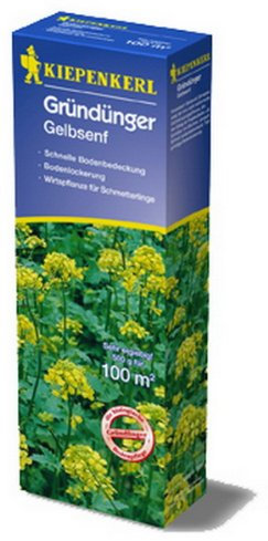 DOMINIK Kiepenkerl Gründünger Gelbsenf (Inhalt: 1 kg)