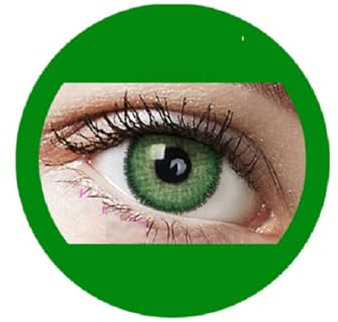 Marine grün : Farbige Jahres Kontaktlinsen ohne Stärke mit Aufbewahrungsbox grau weich, als 2er Pack (2 Stück) angenehm zu tragen, perfekt für helle und dunkle Augen