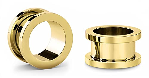 Jewel Barrel Paire de tunnels en chair 2 pièces Écarteurs d'oreille élargisseurs double flare vissé Piercing en acier chirurgical 1,6 mm - 20 mm Argent Noir Rose Or Arc-en-ciel Bleu
