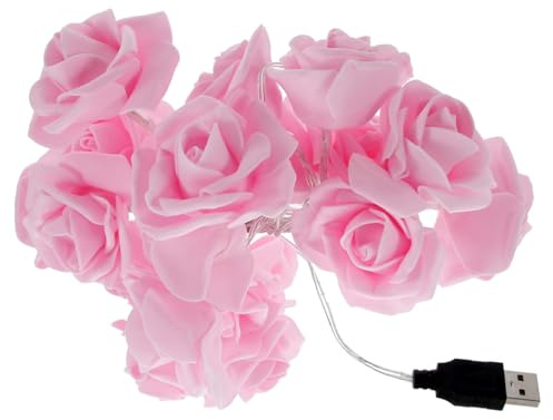 KITANDOVE Fairy Lichterkette Warmweiße Rosenlichter Für Hochzeiten Geburtstagsfeiern Und Festliche Dekoration Usb Betrieben Und Festtagsbeleuchtung