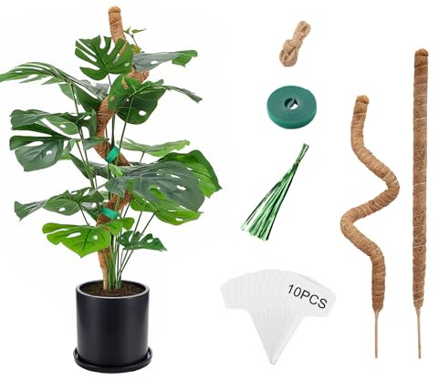 Chicpant 2PCS Tuteur Monstera Coco Plante Grimpante Exterieur 60CM Tuteurs pour Plantes Tuteur Sphaigne pour Plante Monstera avec Accessoires