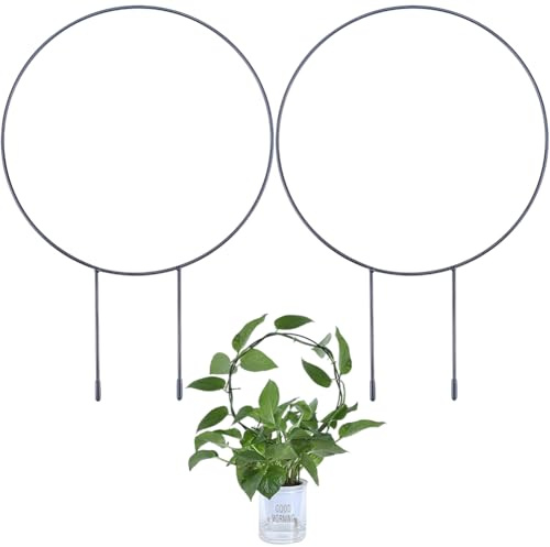 CREATCABIN 2 enrejado Plantas Metal Pequeño Enrejado Jardín para Interior Y Exterior,Plantas En Maceta,Plantas Trepadoras,Rábano Verde,Hiedra,Clorophytum,Vid,Soporte para Plantas,Color Negro 33.2x23cm