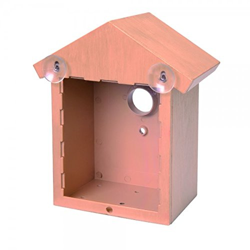 Vogelhaus Observoiseaux für Fenster, Boden klar getönt