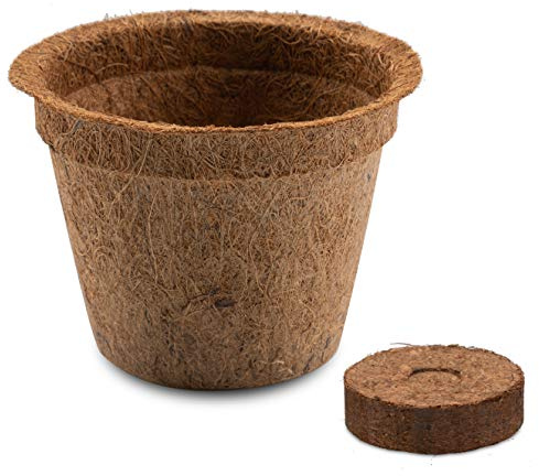 HappySeed 10x Kokos Anzuchttöpfe & Quelltabletten torffrei für eine erfolgreiche Anzucht - ideal für Stecklinge & Samen - verschiedenen Größen (0,50 L - Ø 12 cm)