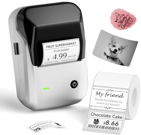NIIMBOT B1 Label Maker,2 Inch Bluetooth Thermal Label Printer, Silver