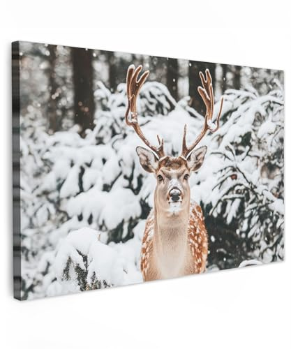 MuchoWow© Bilder Groß XXL Wohnzimmer Deko Modern Wandbild Kunstdruck | 120x80 cm - Leinwand Bild Schlafzimmer über Bett Room Decor Geschenke Rotwild - Schnee - Winter - Wald - Tier