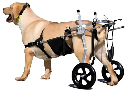 MJHETCY Zwei Räder Haustier Rollstuhl Behinderte Hund unterstützte Hinterbein-Sportwagen Für Haustiere innerhalb von 50kg Hunde Körperbehinderter(Size:M（15-20kg）)