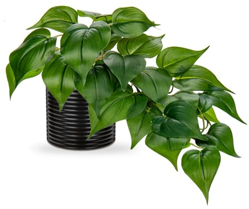 Hollyone Plantes artificielles dans des Pots en céramique, Faux Jade pothos décoratifs, Plantes d'intérieur réalistes pour décoration d'intérieur, Salle de Bain, Salon, Cuisine, étagère, décoration