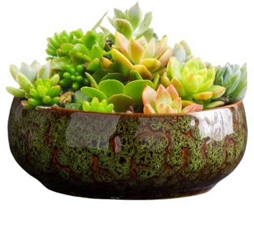 Lottus Bowl, fioriera in ceramica per fiori di lotto, ciotole per piantare, vaso idroponico decorativo, 780 g, in ceramica, a prova di perdite, spaziosa, per interni ed esterni, piante grasse e fiori