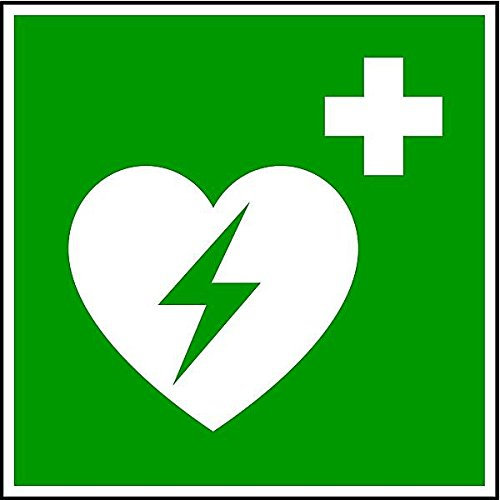 LEMAX® Rettungszeichen, Defibrillator E010 Fahnenschild DIN EN ISO 7010 Kunststoff langnachleuchtend 200x200mm