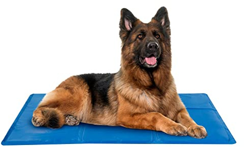 HAC24 Kühlmatte für Hunde Haustier XL Kühldecke Hundekühlmatte Gelmatte Kühlend 80 x 60 cm Kühlkissen Gelkissen Kühlunterlage Blau