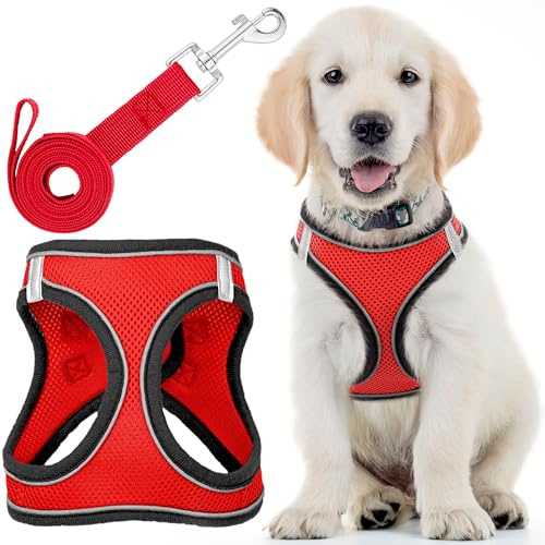 Harnais pour Chien + Laisse - Moyen, Rouge Rover - Harnais pour Animaux de Compagnie rembourré, No PullDesign + Bandes réfléchissantes pour Chiens de Petite et Moyenne Taille - par EcoEarth