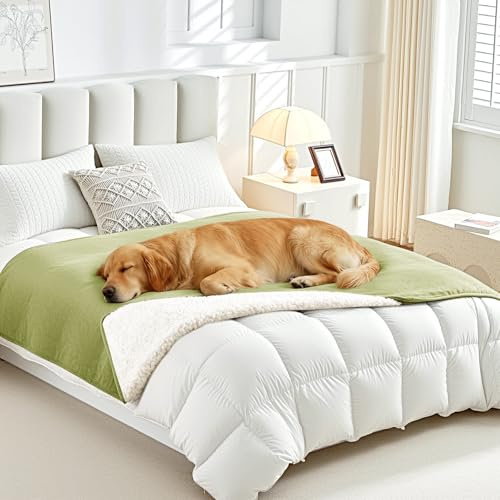Lekereise wasserdichte Decke 145x165 cm Hundedecke Sofa und Bett Reversible Decke Wasserdicht aus Sherpa-Fleece Waschbar Dunkelgrau Grün