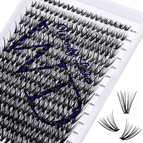 300 Pcs Einzelne Wimpern Cluster 30D für Wimpernverlängerung DD Curl 0.07mm Mix Länger 8-16mm Individuelle Wimpernbüschel Cluster Wimpern DIY Wimpernverlängerung zu Hause (B-30D-0.07-DD-MIX8-16) | Cluster Lashes D Curl 0.07 Einzelclusterwimpern DIY für Lash Extensions