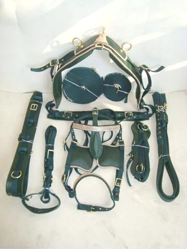 Juego de arnés de conducción de nailon de alta calidad, tachuela ecuestre completa con riendas y poni de brida, mazorca, completo y verde Shetland (caballo completo)