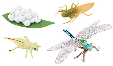 Yunhgft Lebenszyklus Tiere Figuren Tierwachstum Modellierhilfe Spielfigurenset Lernspielzeug Langlebiges Material für Kinderbildung Wissenschaftsprojekte