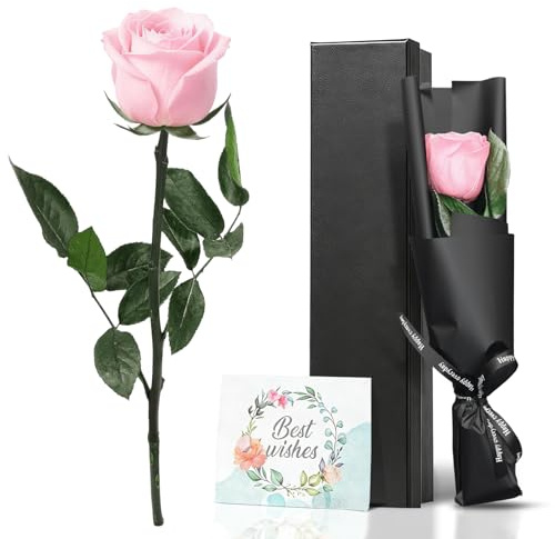 VOIDHUES Evig ros i presentförpackning äkta konserverad Infinity Rose med stjälk rosor hållbar blomma gåva för kvinnor, mamma lämplig för födelsedagar, årsdagar och alla hjärtans dag (rosa)