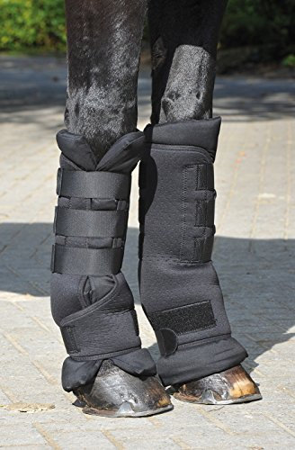 BUSSE Stallgamaschen PROTECT