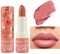 Matte Nude Lipstick, Long Lasting Pink Red Lipcolor, Waterproof Moisturizing High Pigmented Smooth Velvet Texture Lip Stick(#02)