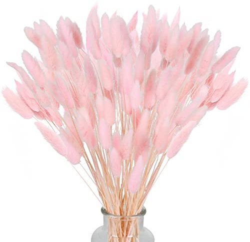 HUAESIN 120 Piezas de Hierba de Pampa Rosa, Flores Secas, Decoración para Hogar, Boda, Fiesta, Oficina, Fotografía, Jarrón, Color Rosa