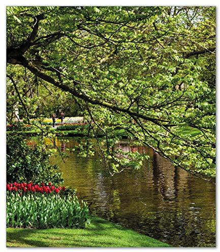 Wallario Herdabdeckplatte/Spritzschutz aus Glas, 52 x 60 cm, 1-teilig mit 13 mm hohen Füßen, für Ceran- und Induktionsherde, Bunte Blumen im Park am Wasser - Frühblüher am Ufer